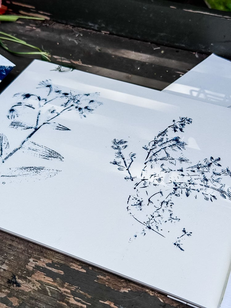 blue ink prints of herbs