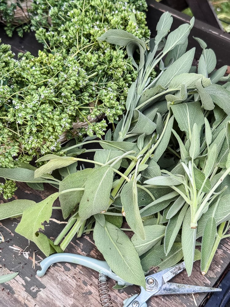 sage next to a wreath with oregano