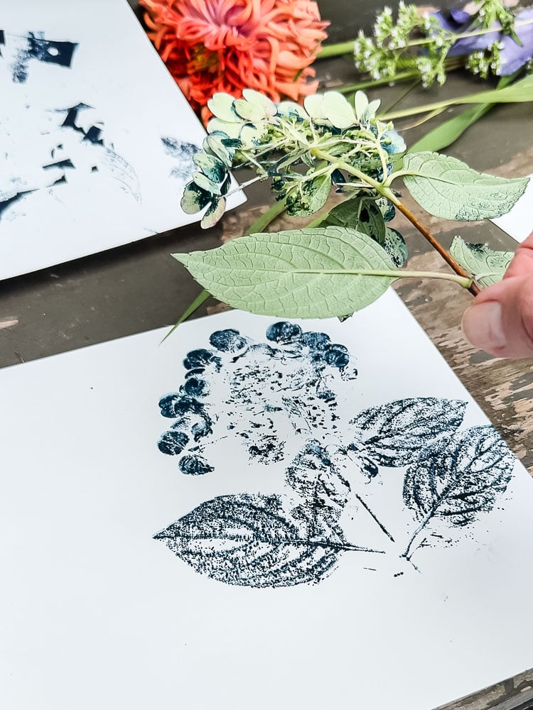 a blue hydrangea nature print and holding a hydrangea branch that made the print