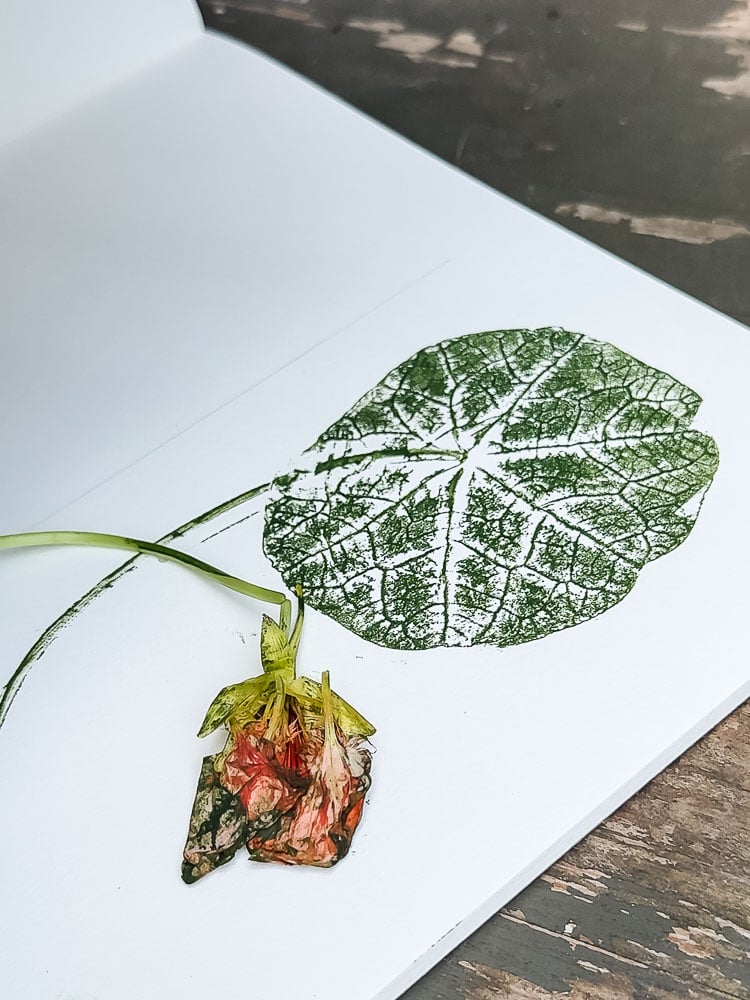 green ink nasturtium leaf print