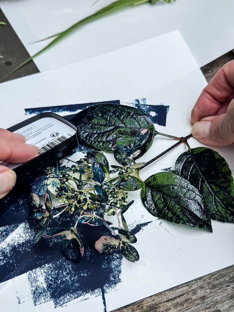 putting blue ink on hydrangea flower
