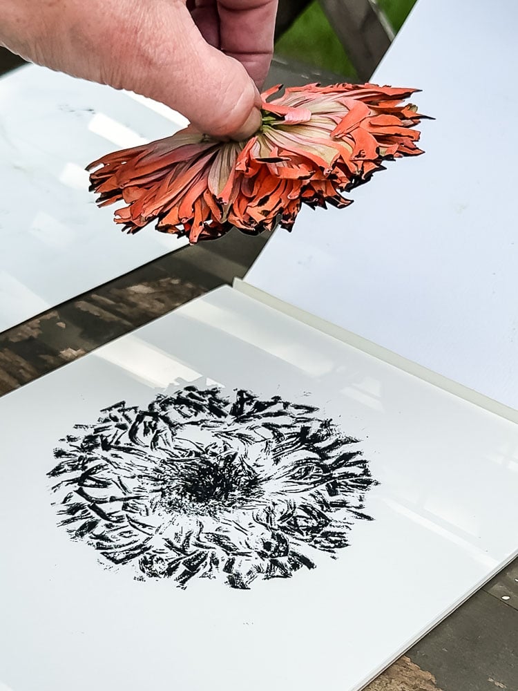 black zinnia ink print being made