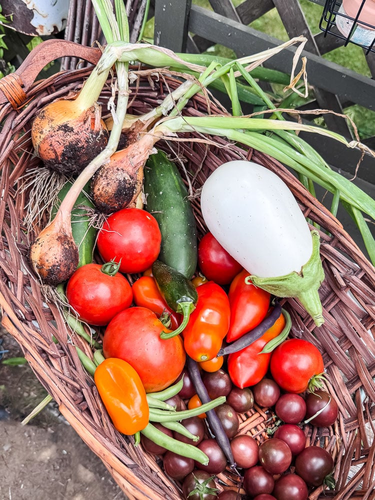 a basket of garden veggies