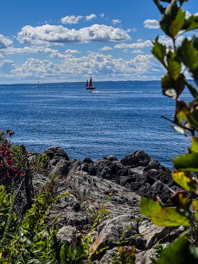 ocean view with rocky coast