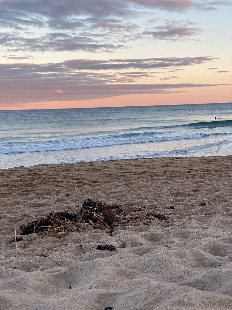 beach with a cloudy pink sky