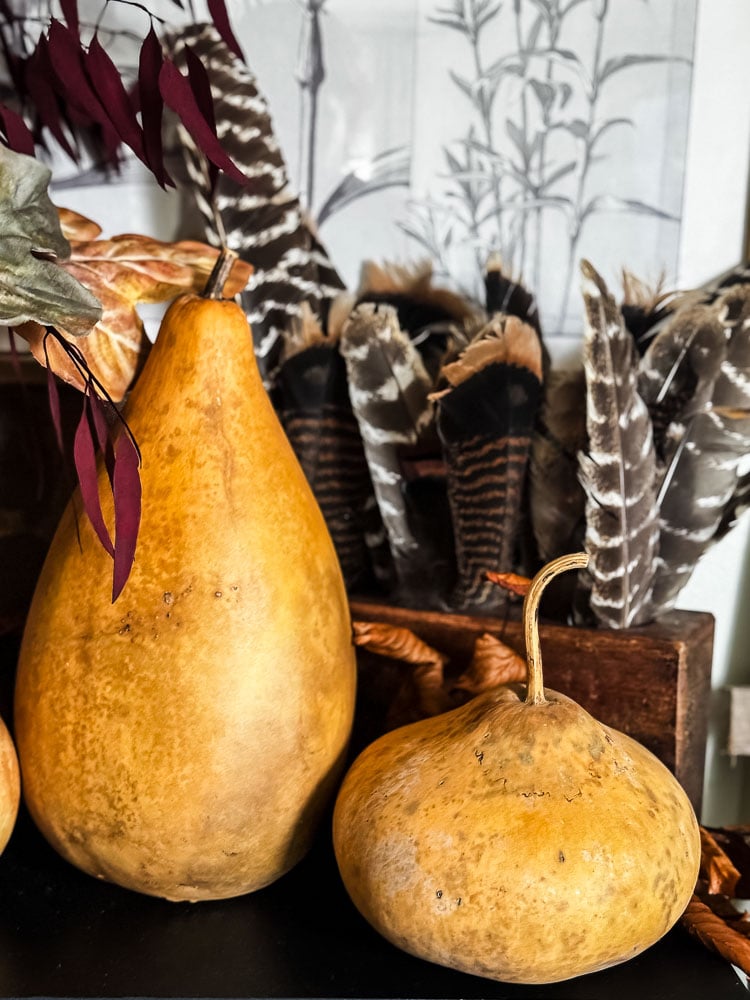 dried gourds and turkey feathers on a mantel
