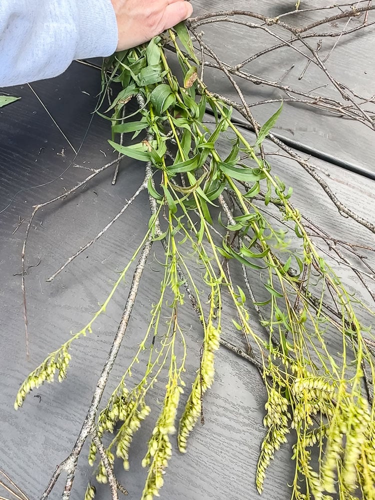 weeds and branches