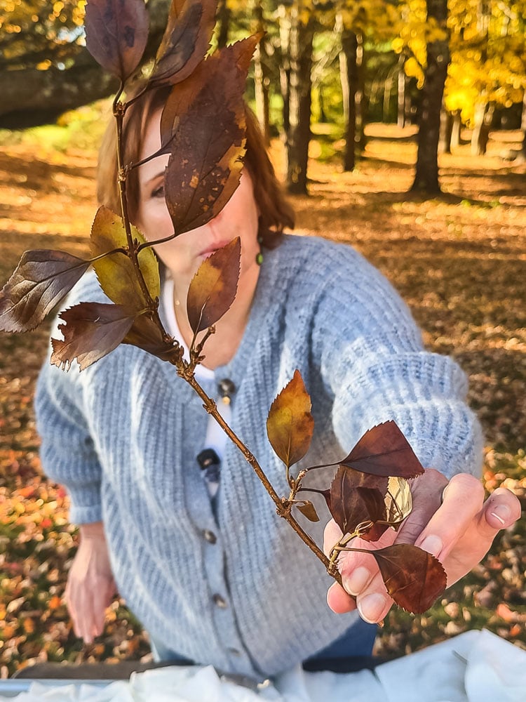 woman holding up a branch in front of her