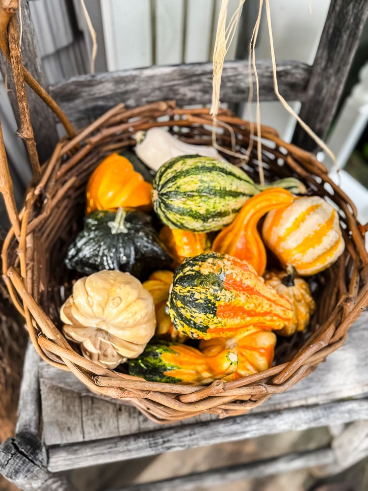 wicker basket filled with gourds on old chair