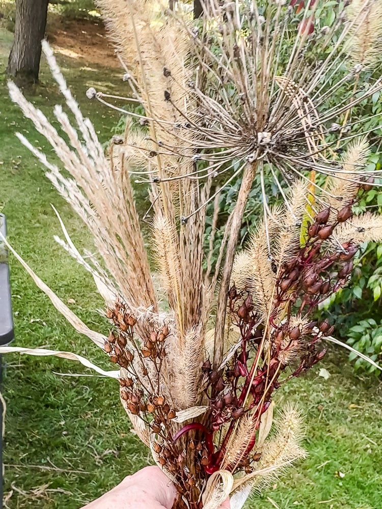 a hand holding foxtail grass and dried flower pods