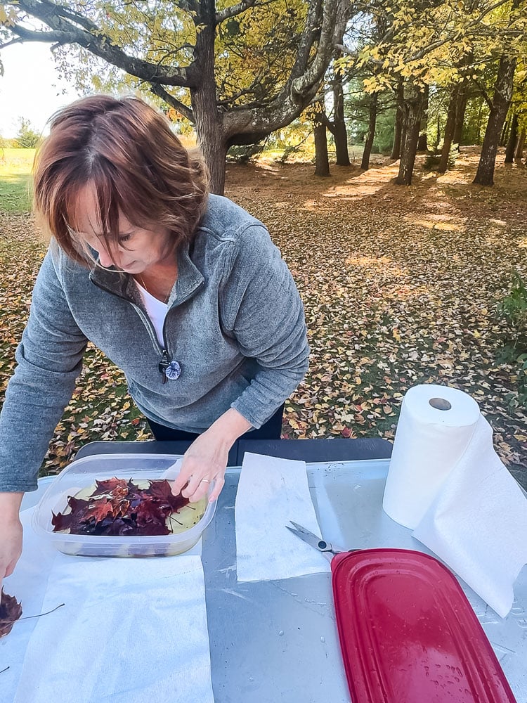 woman removing leaves from a plastic tub outdoors