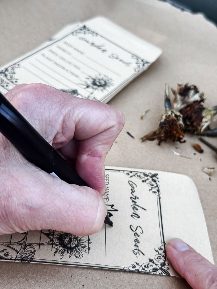 writing seed names on envelope