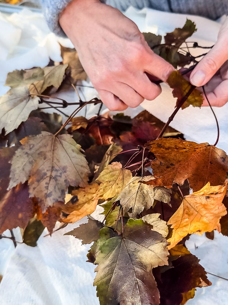 pile of preserved branches and a woman's hands
