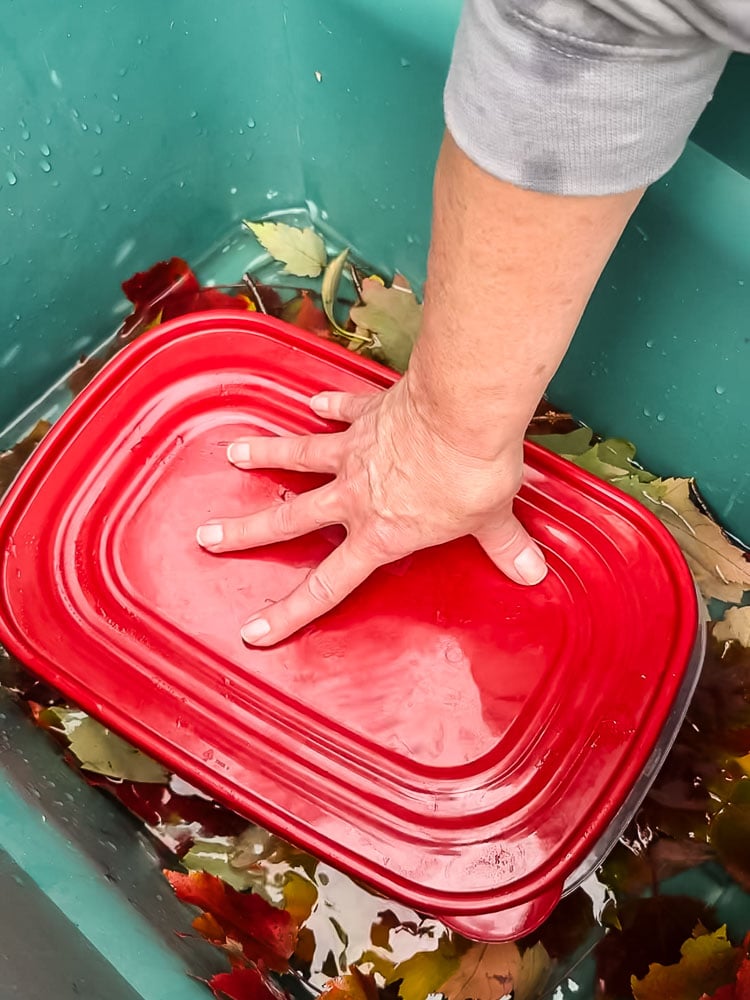 a red covered plastic food container in a green tub with a woman's hand on top