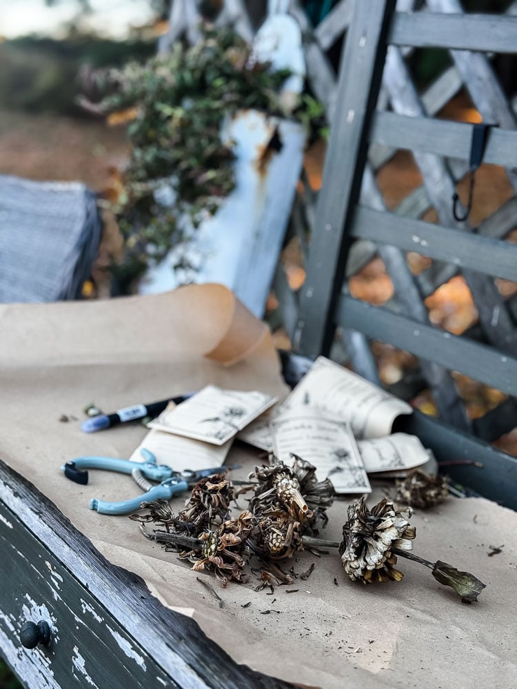 potting bench with seed envelopes, clippers, and spent flower heads