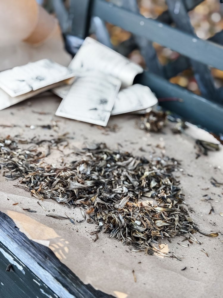 seed saving on a potting bench with flowers, envelopes