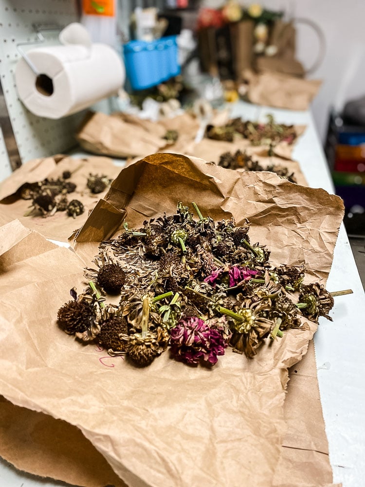dried flower seed heads on paper bags